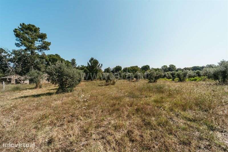 Quinta / Fundão, Valverde - Grande imagem: 5/15