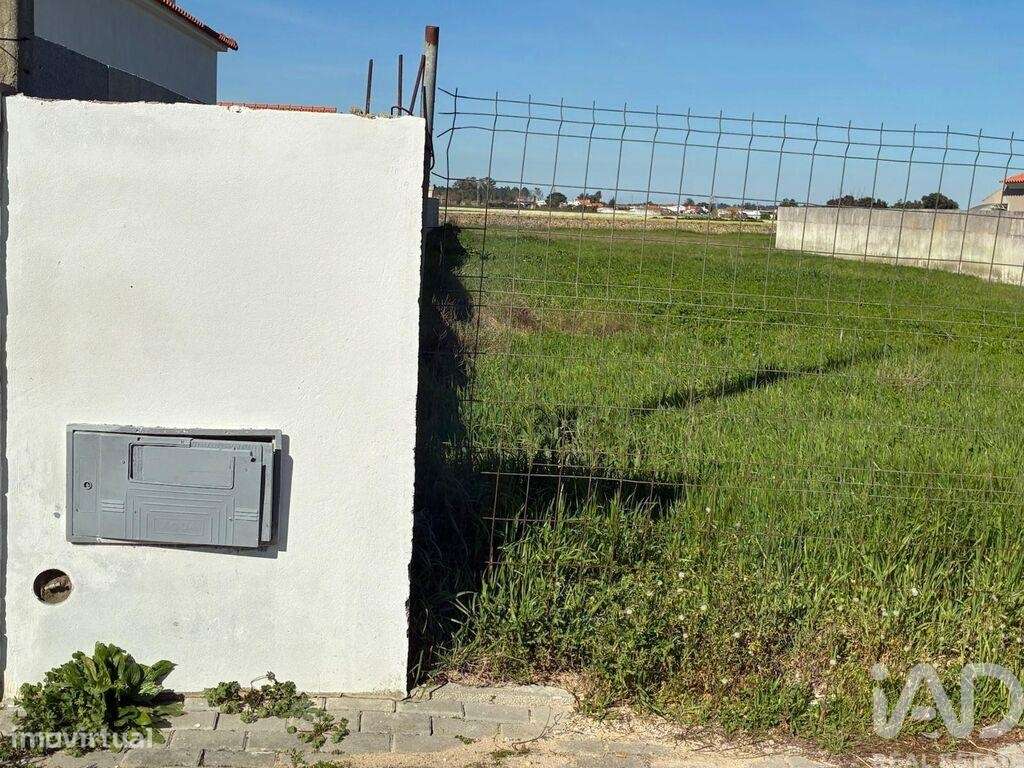 Terreno para construção em Salvaterra de Magos e Foros de Salvaterra - Grande imagem: 5/7