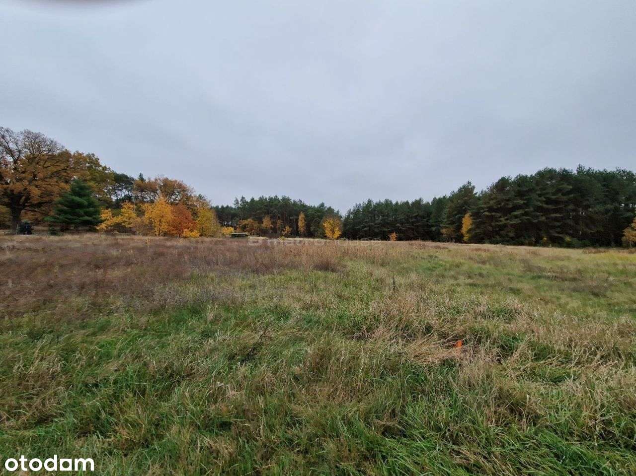 Malownicza działka 1200 m2 w Cegielniku! - Pełny obrazek: 3/5