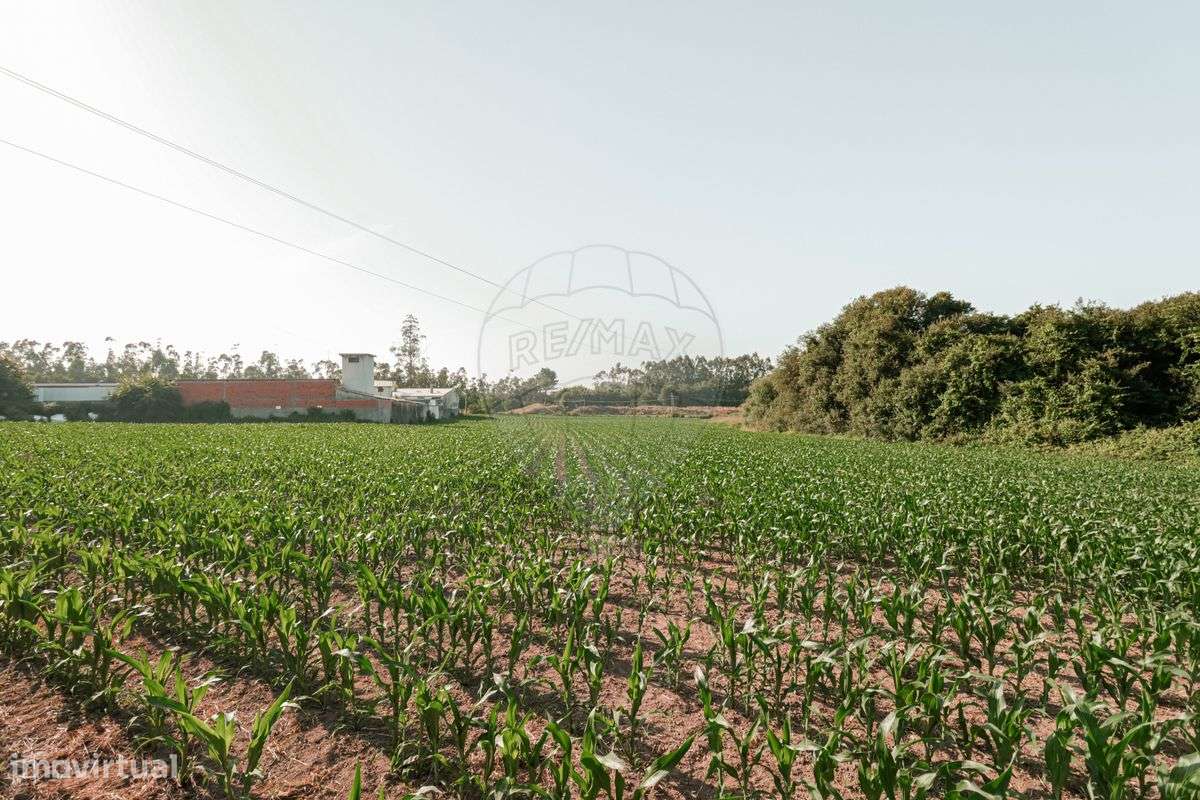 Terreno  para venda - Grande imagem: 5/6