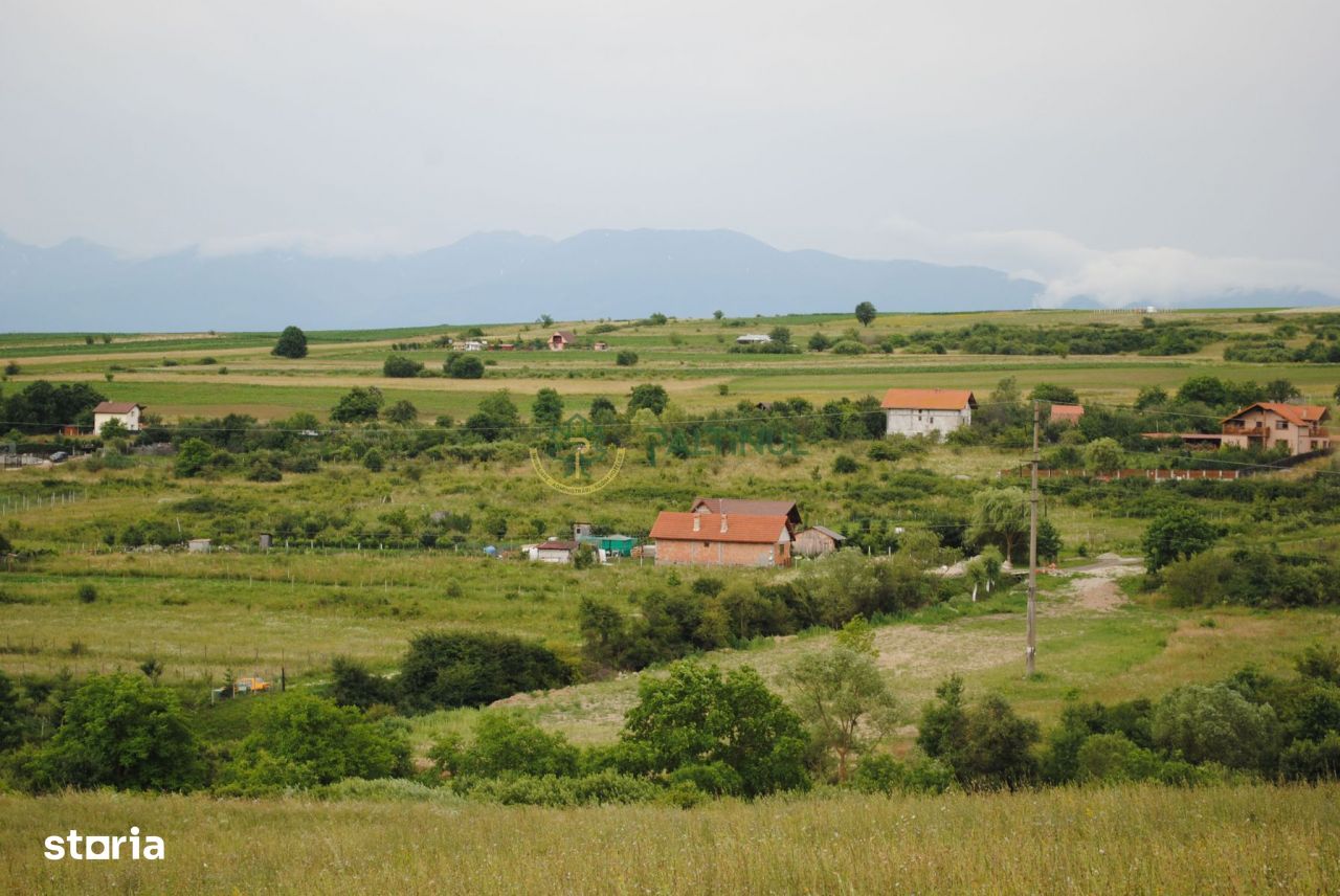 Teren 1,500 mp, vedere panoramica, zona Daia Noua