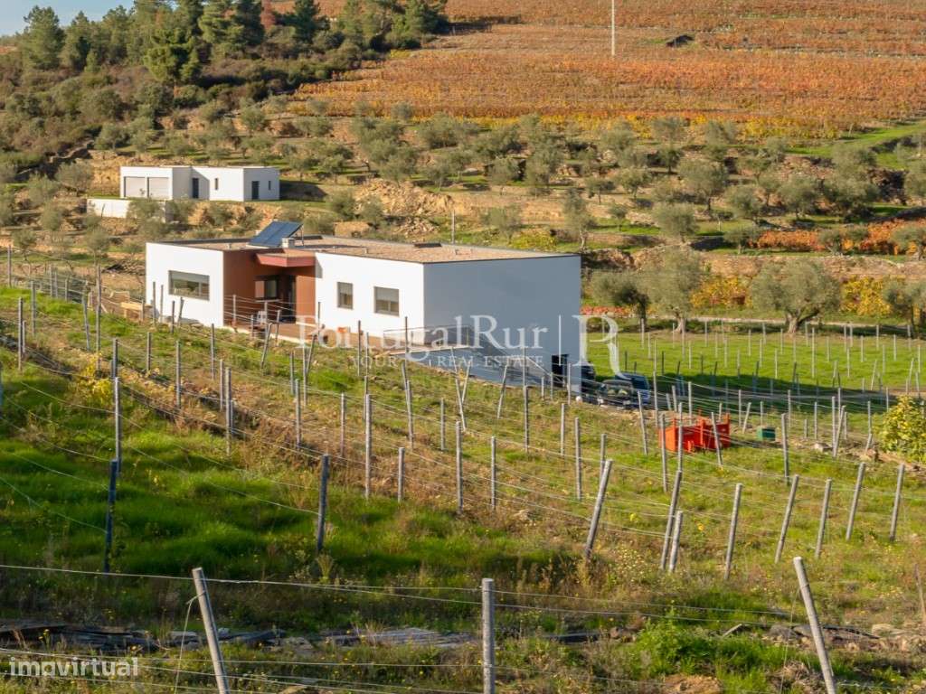 Quinta com 1,8 Hectares em Tabuaço - Grande imagem: 4/38