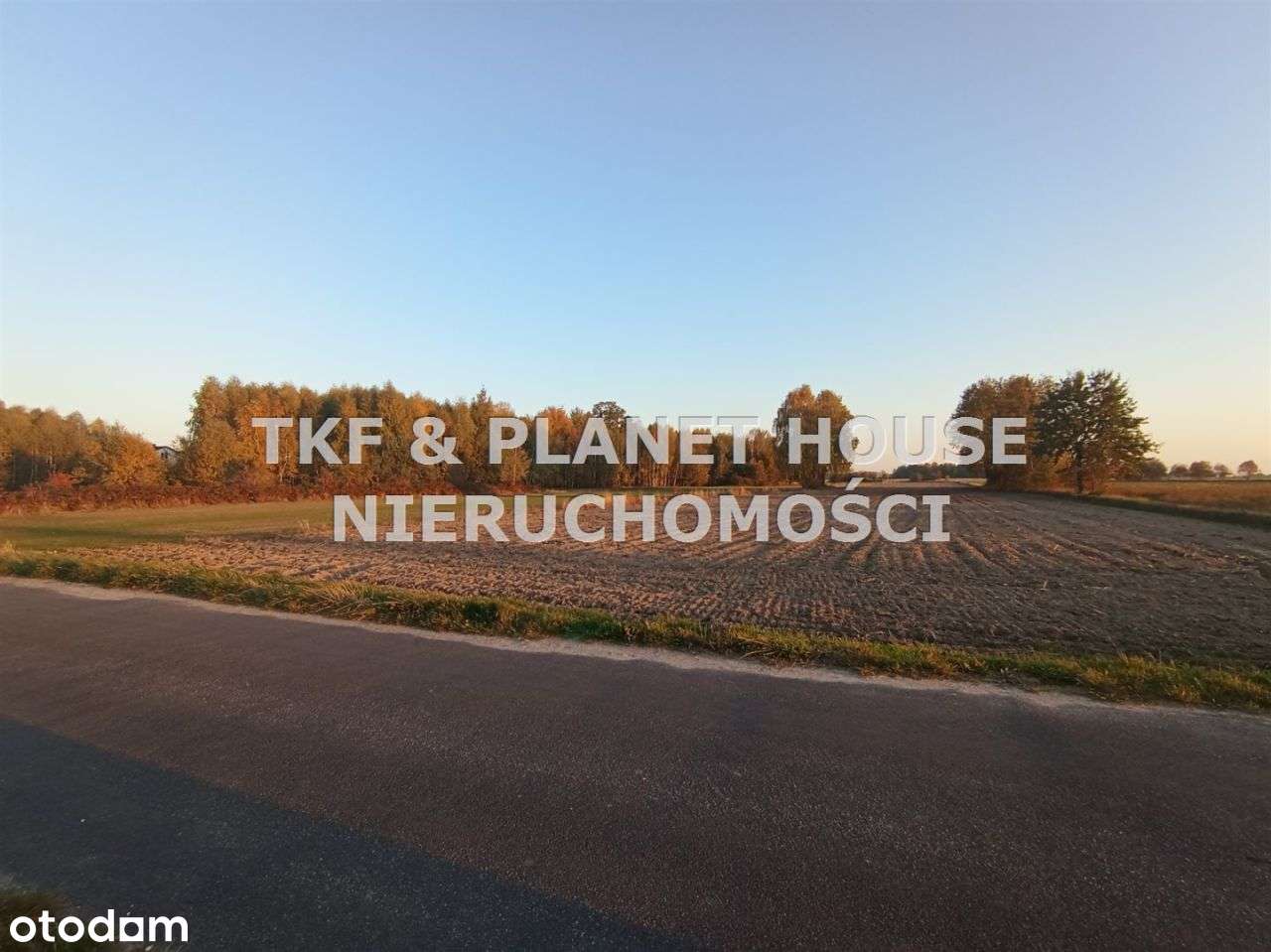 Działka 1ha na sprzedaż Mniszków - Pełny obrazek: 4/5