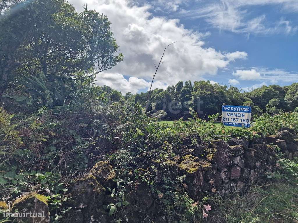 Terreno com vista para a Montanha do Pico na Freguesia das Bandeira... - Grande imagem: 5/14
