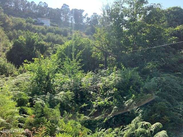 Quinta do Barreiro com 2 Casas para Recuperar-19