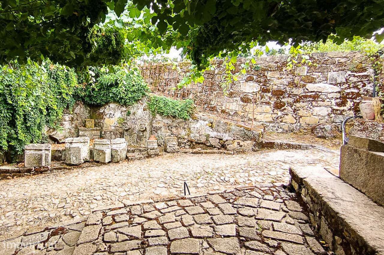 Quinta do Mosteiro de Salzedas com mais 17 ha e património histórico-31