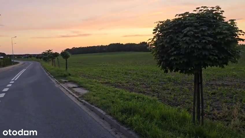 1z 2 domów jednorodzinnych90 m2 w Dolsku, pełne media, działka 1000m2-15