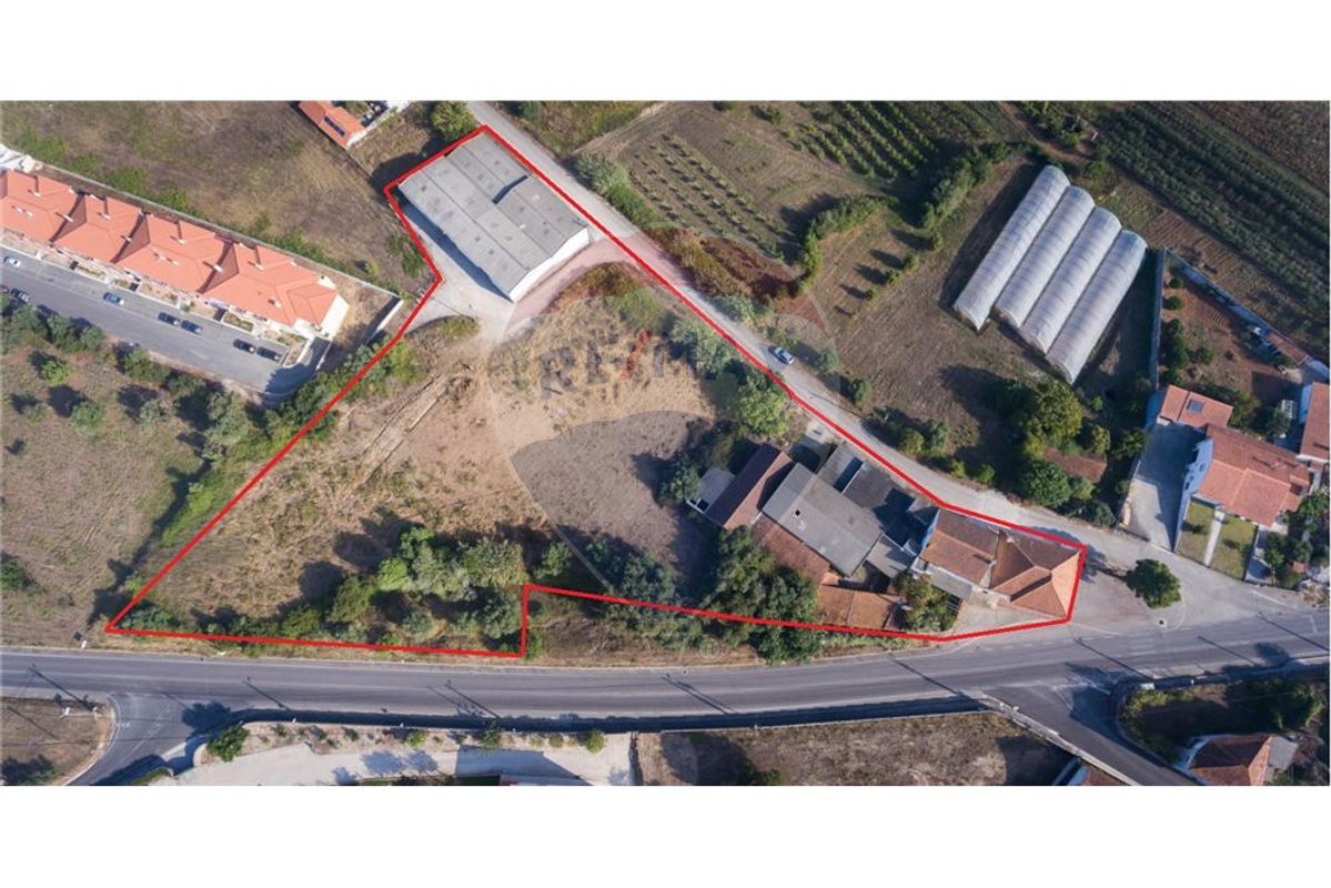 PROPRIEDADE PARA INVESTIMENTO PERTO DE ALCOBAÇA