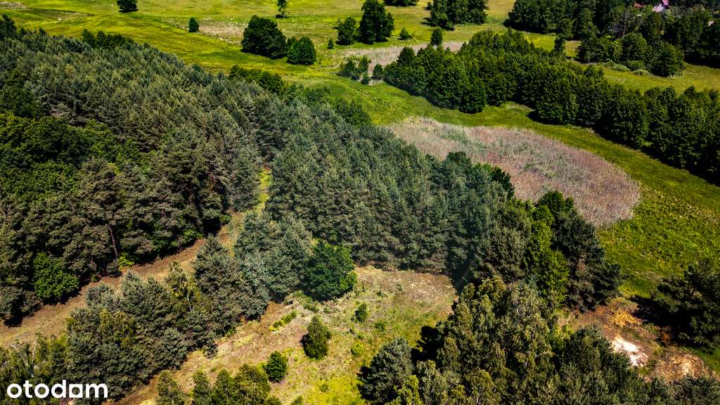 Malownicza nadbużańska działka blisko Warszawy-5