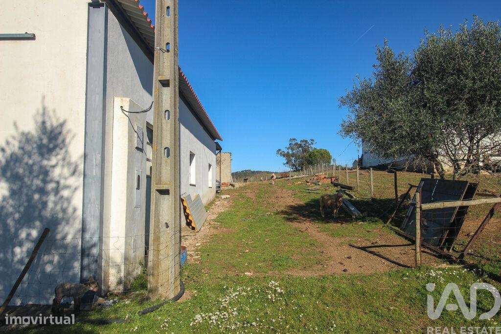 Quinta em Ameixial (Santa Vitória e São Bento) de 180,00 m2 - Grande imagem: 4/30
