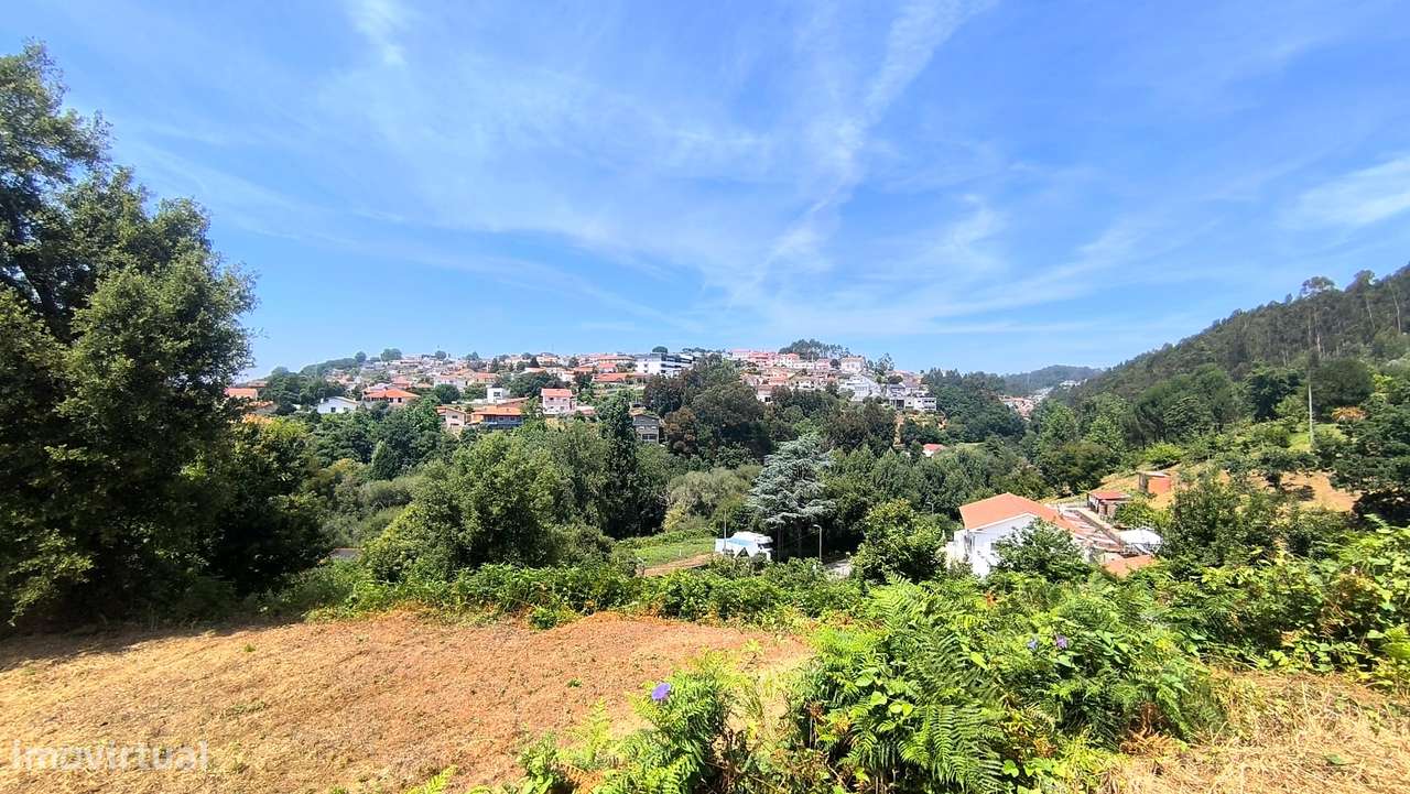 Quinta com 19000 m2 nas margens do Douro-12