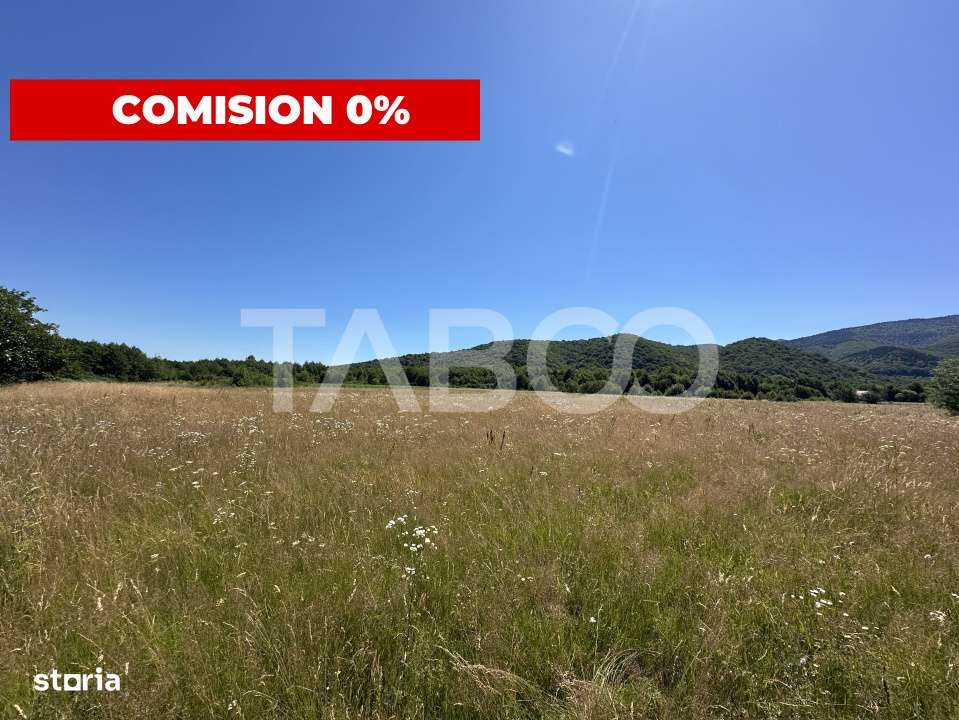 Teren extravilan 1900 mp cu utilitati in apropiere pe Valea Sebesului - Imagine principală: 1/3