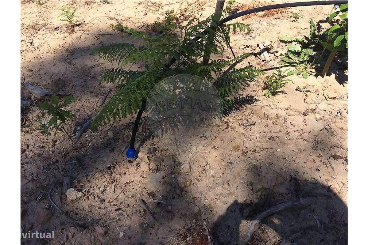 Terreno  para venda - Grande imagem: 5/20