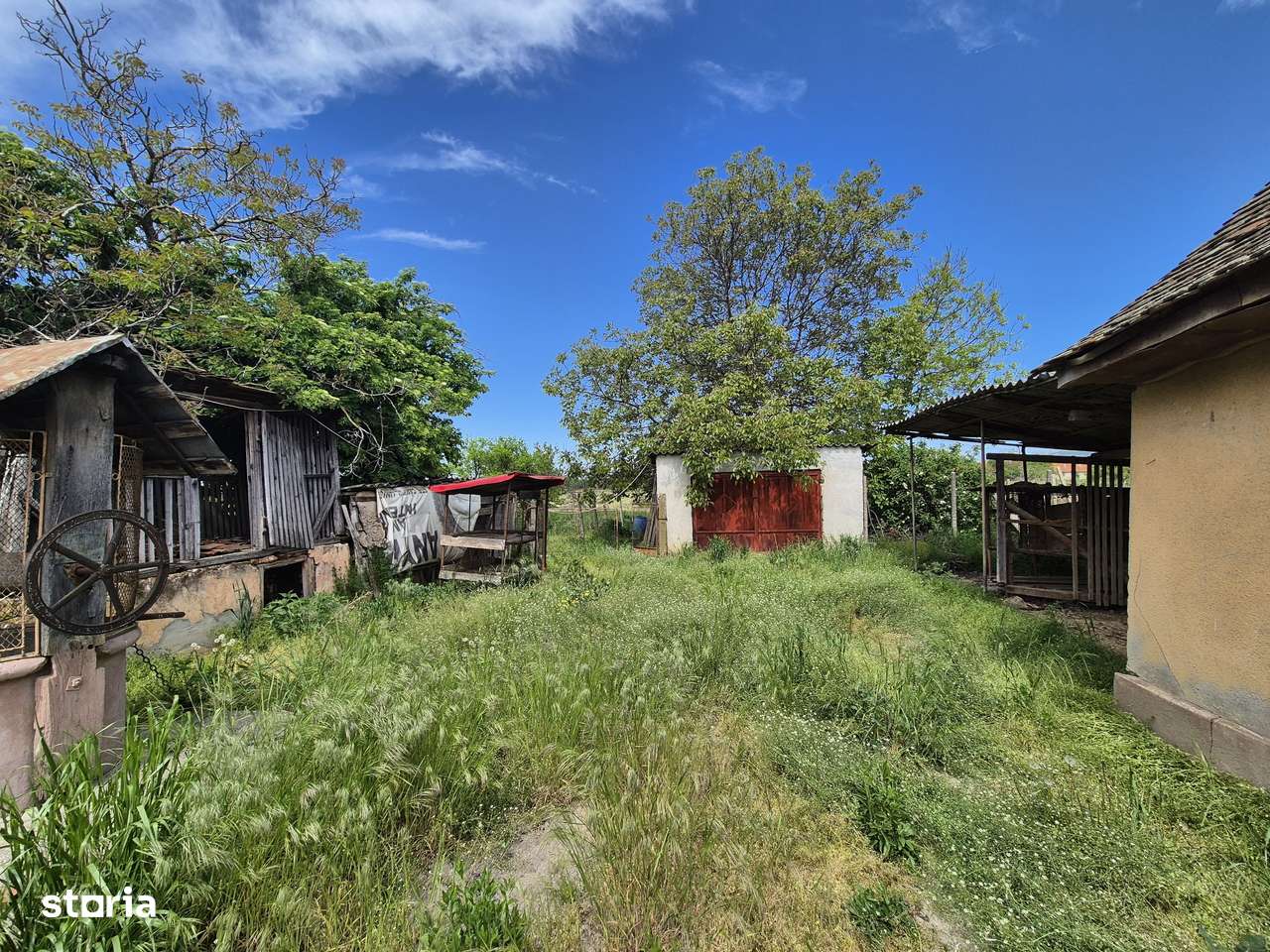 Casă cu teren generos în Covăsânț - zonă de deal, liniște și aer curat-5