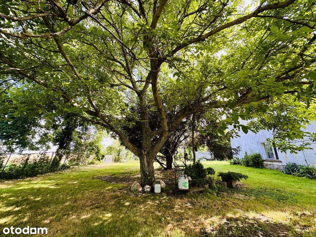 DOM, który ma swoją historie i czeka na nowego właściciela - Pełny obrazek: 4/20