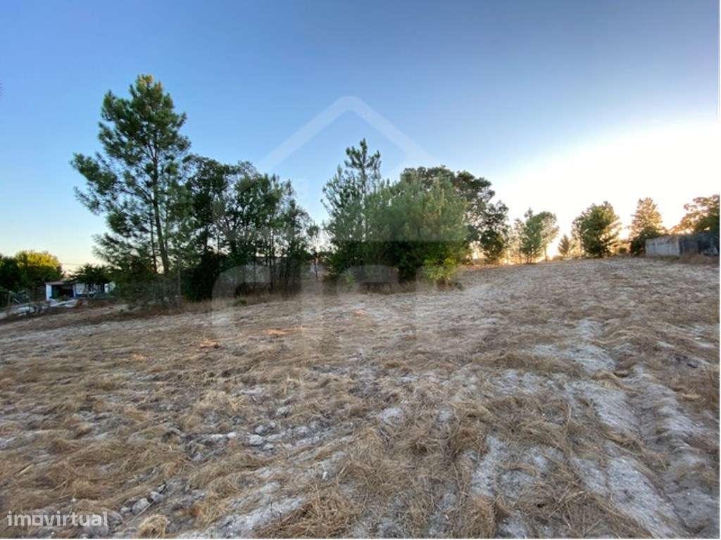 Terreno Rústico - Grande imagem: 5/7