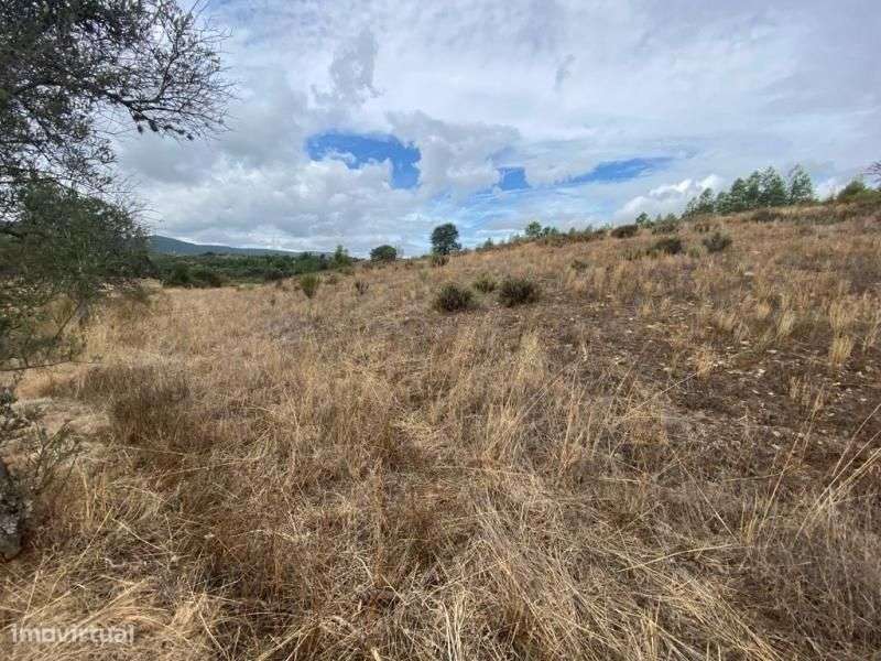 Quinta - Grande imagem: 3/16