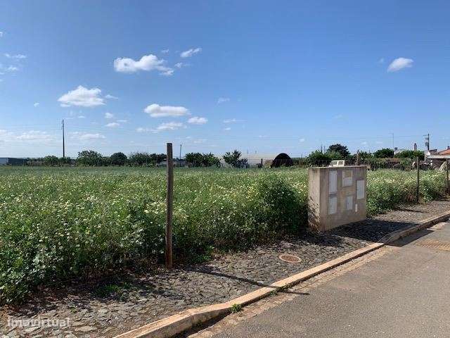 Loteamento moradias, para venda, Beja - Salvada e Quintos-1