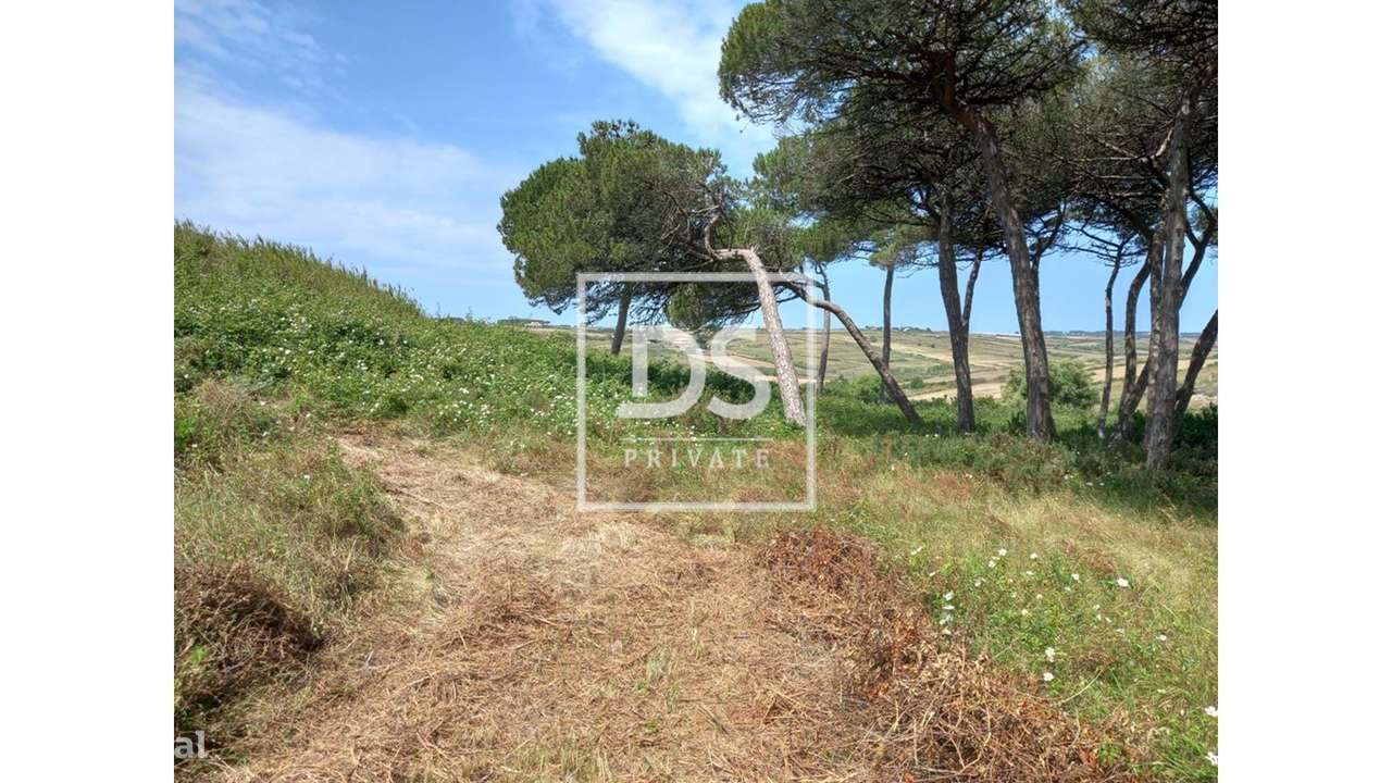 Terreno Rústico em UDF de São João das Lampas e Terrugem - Grande imagem: 2/23