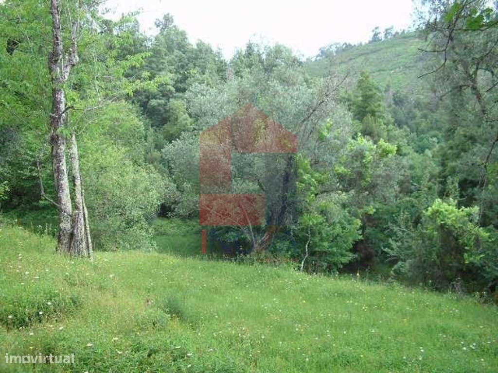 Terreno, Valdreu - Grande imagem: 5/14