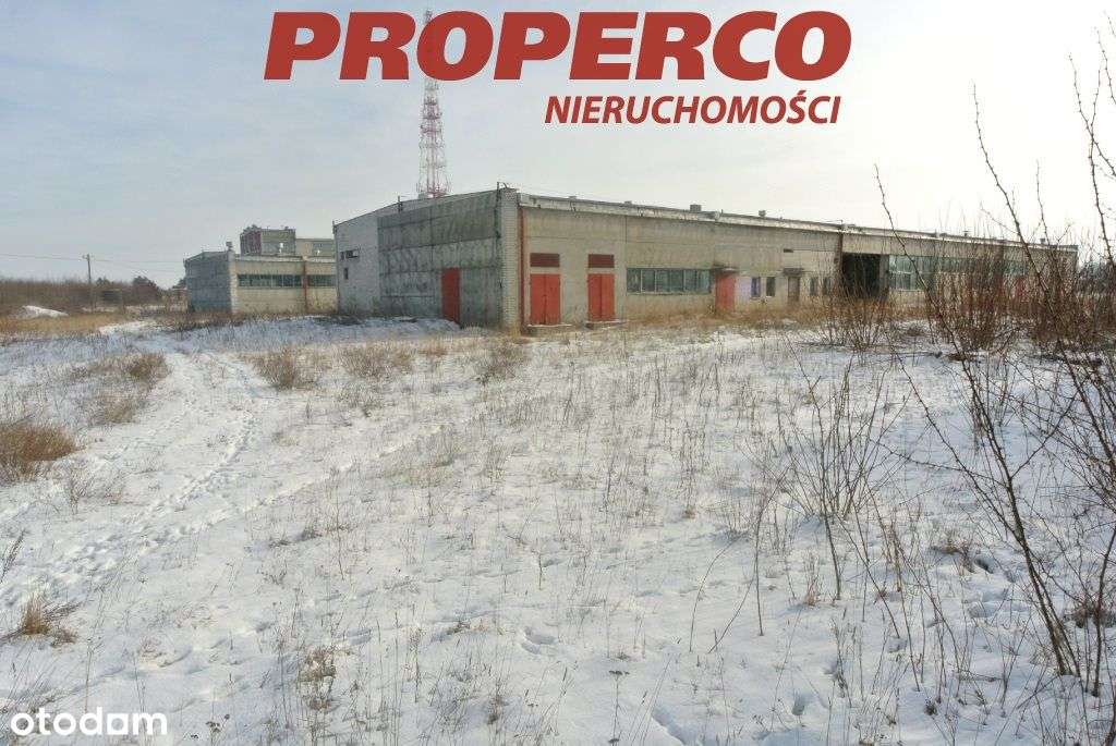 Obiekt 17184 m2 Działka 91690 m2 Jędrzejów - Pełny obrazek: 5/12