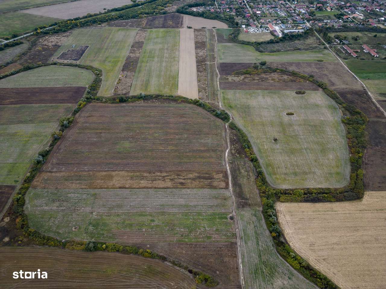 Teren agricol de 34.500mp în Albina, Județul Timiș - Imagine principală: 3/6