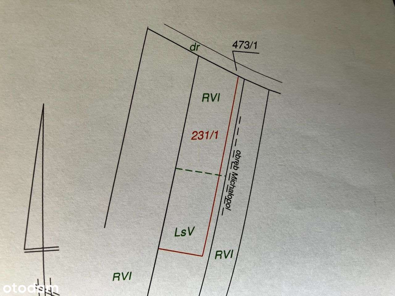 Działka rolno-leśna, GRABY, gmina Gidle, duża OKAZJA - Pełny obrazek: 5/6