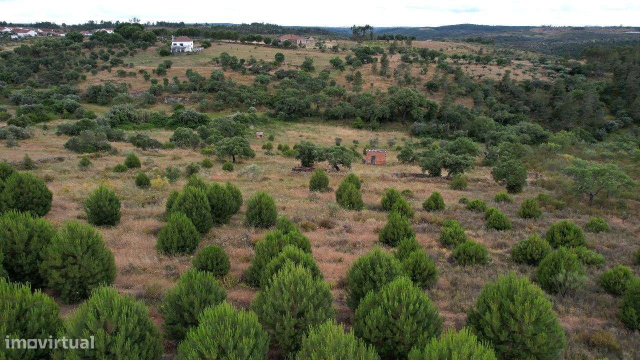 Terreno - Grande imagem: 2/5