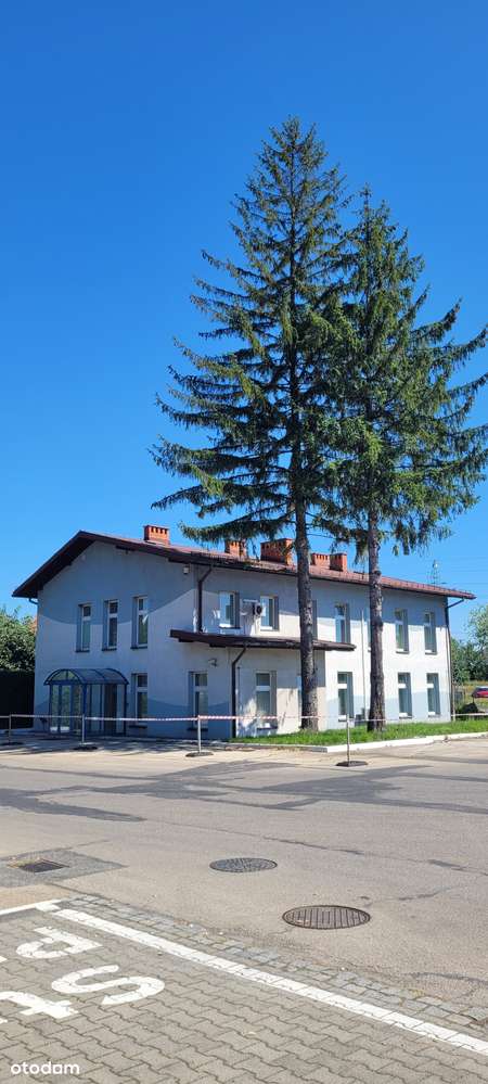 Do wynajęcia przestronny cały obiekt, lokale na wynajem z parkingiem - Pełny obrazek: 4/20