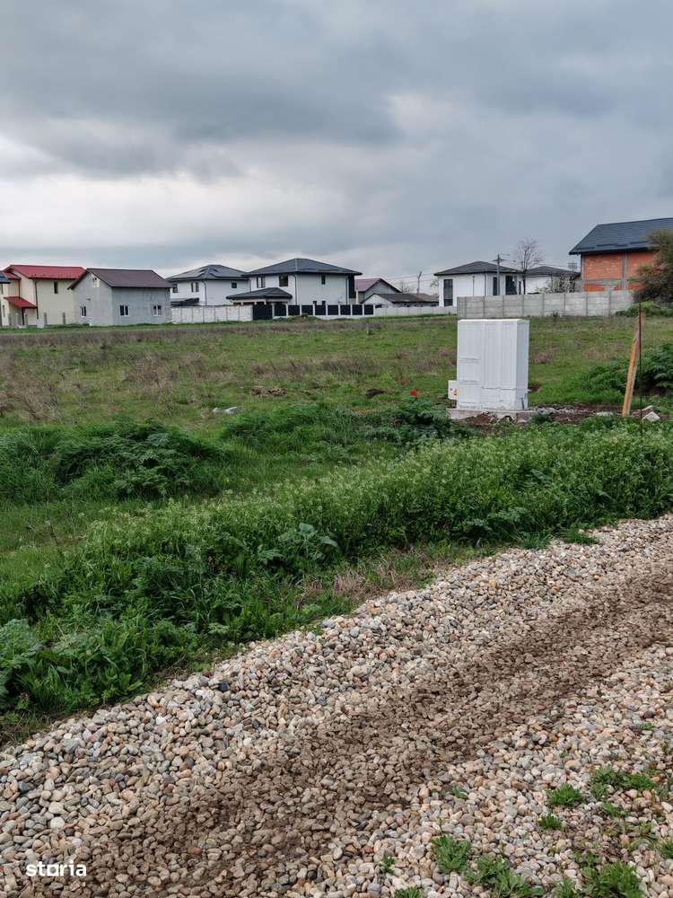 Teren de Vanzare, Comuna Berceni, Judetul Ilfov, Strada Serelor - Imagine principală: 5/6
