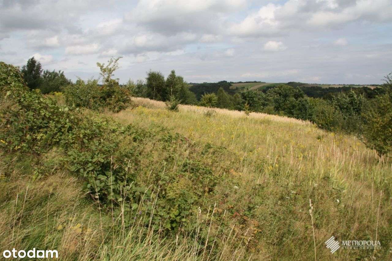 Biały Kościół | działki rolne - 1,9 ha-2