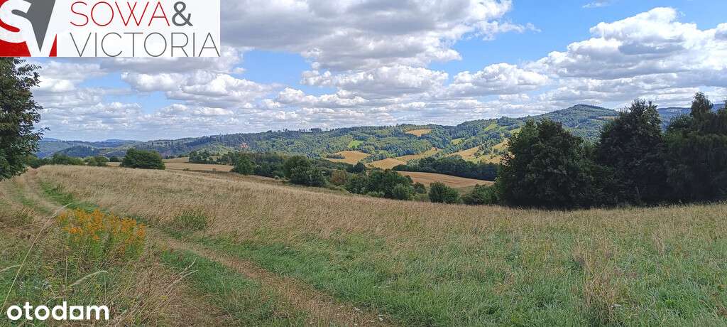 Widokowe, słoneczne działki w Niedźwiedzicy - Pełny obrazek: 4/7