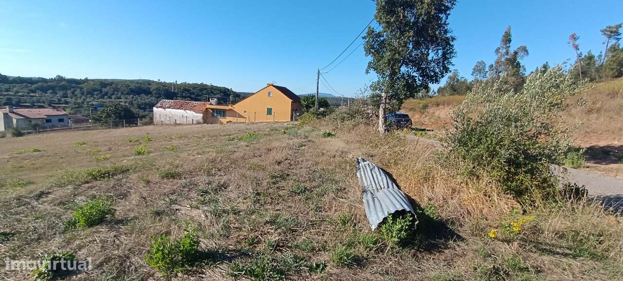 Terreno rústico com 3.700 m² – A 7 km de Tomar-5