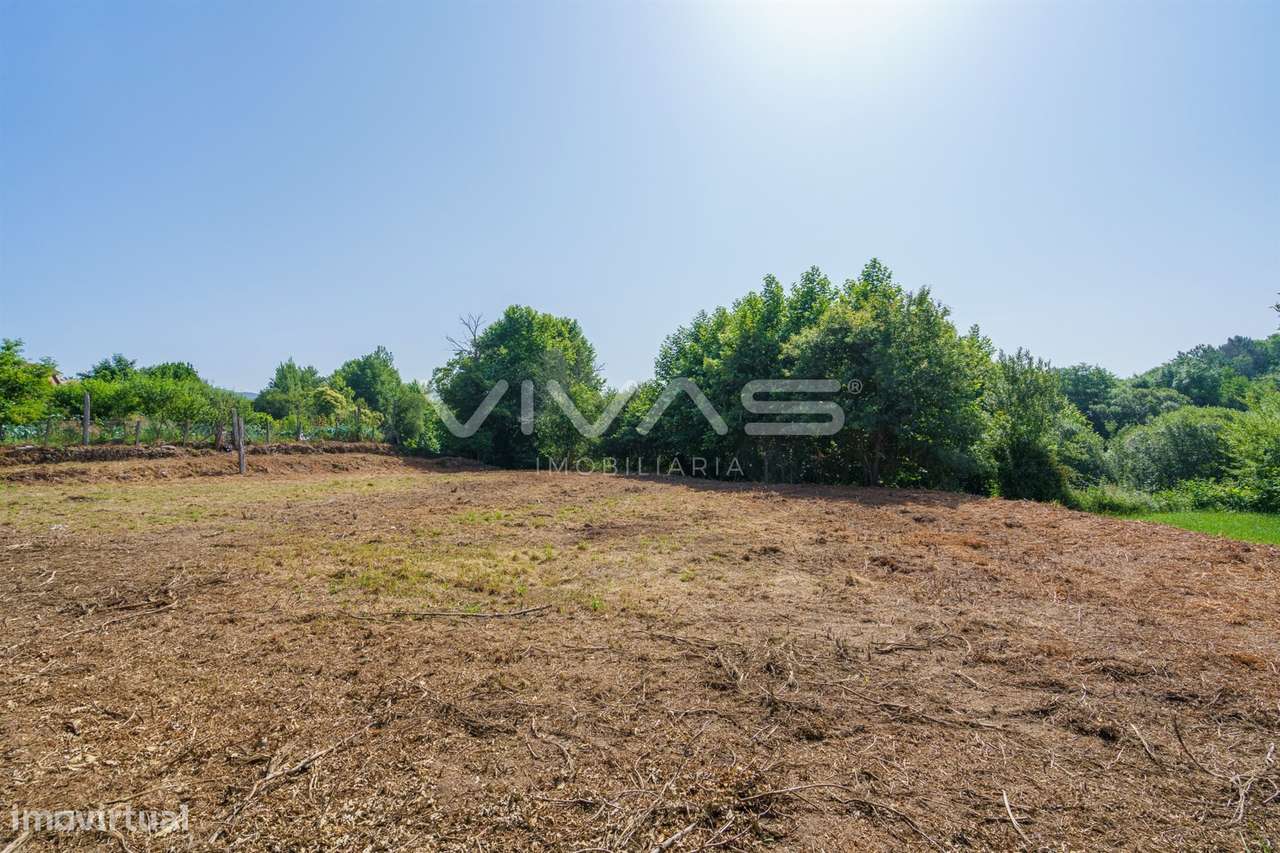 Terreno Rústico  Venda em Pico,Vila Verde - Grande imagem: 5/20