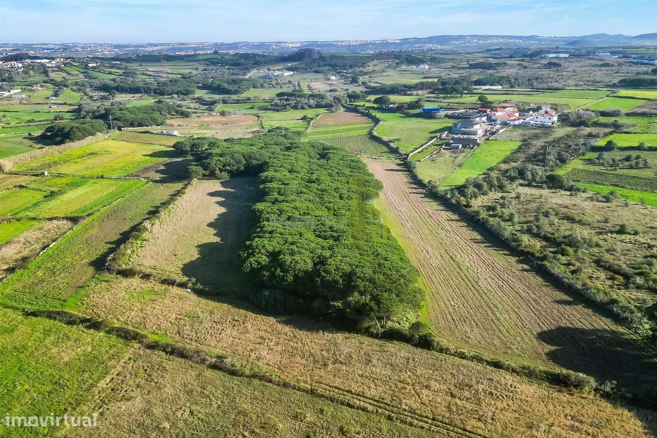 Terreno Rústico com 6 Hectares | São João das Lampas e Terrugem – Sint-6