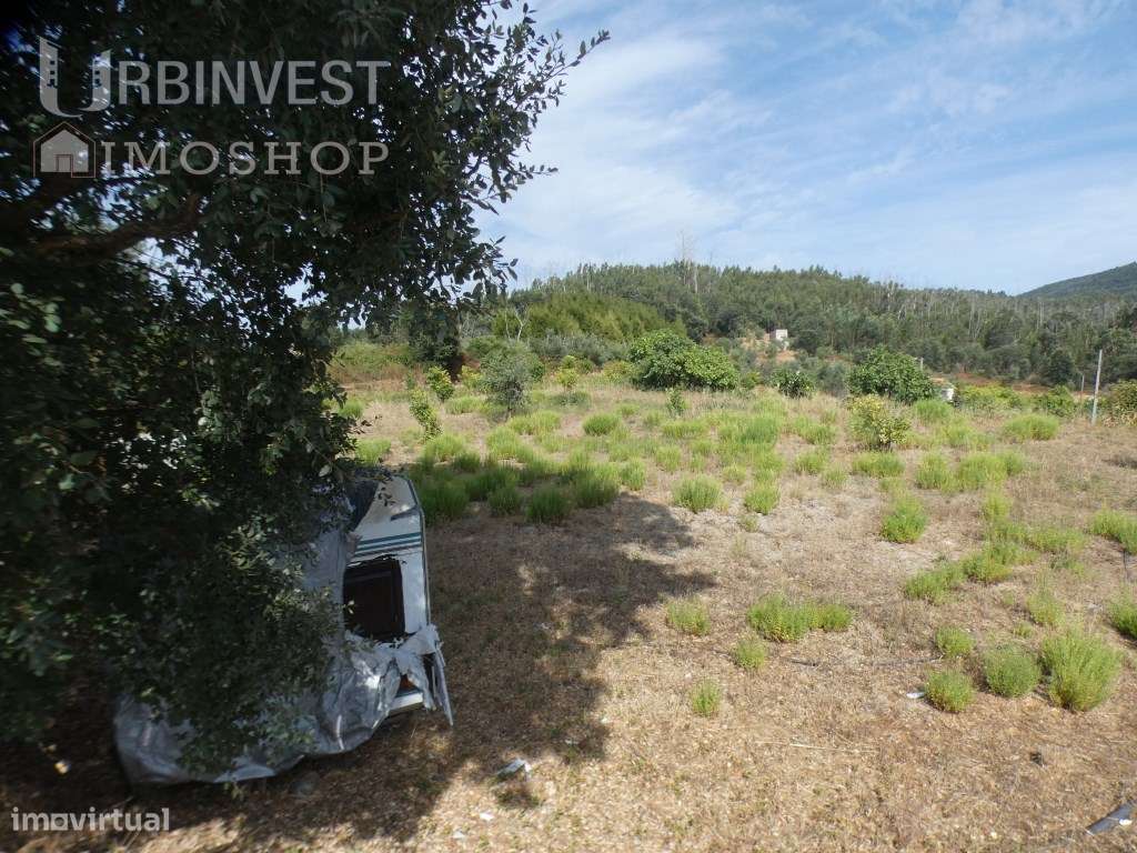 Terreno rústico com água, luz e comunicações na zona de Monchique. - Grande imagem: 5/20
