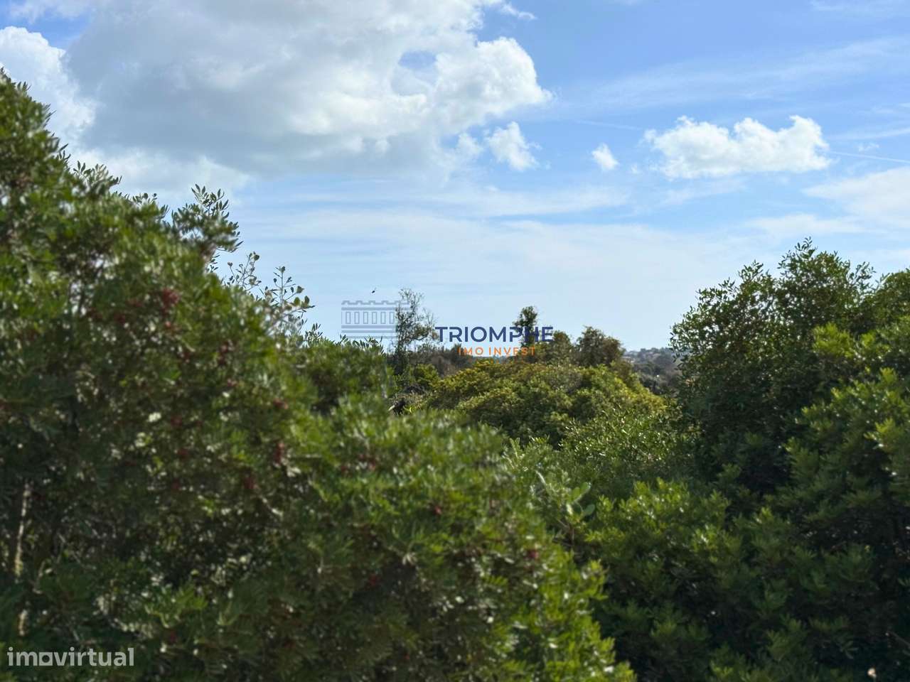 Terreno rústico 15 000 m² Estômbar - Grande imagem: 4/6