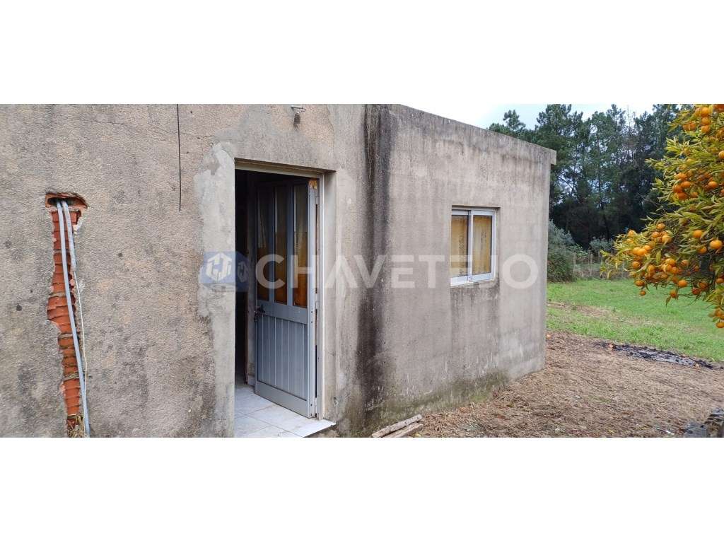 Casa Antiga Com Arrecadação e Terreno Para Recuperar, Cernache do B...-5