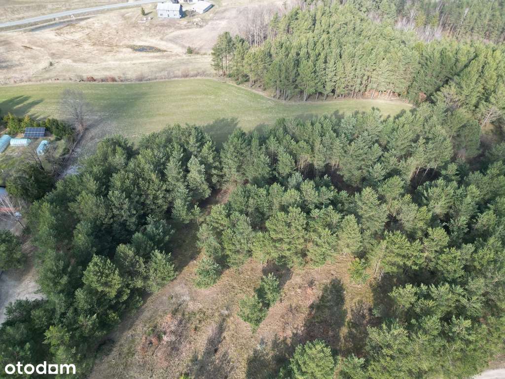 Działka pod zabudowę jednorodzinną Kieleńska Huta-1