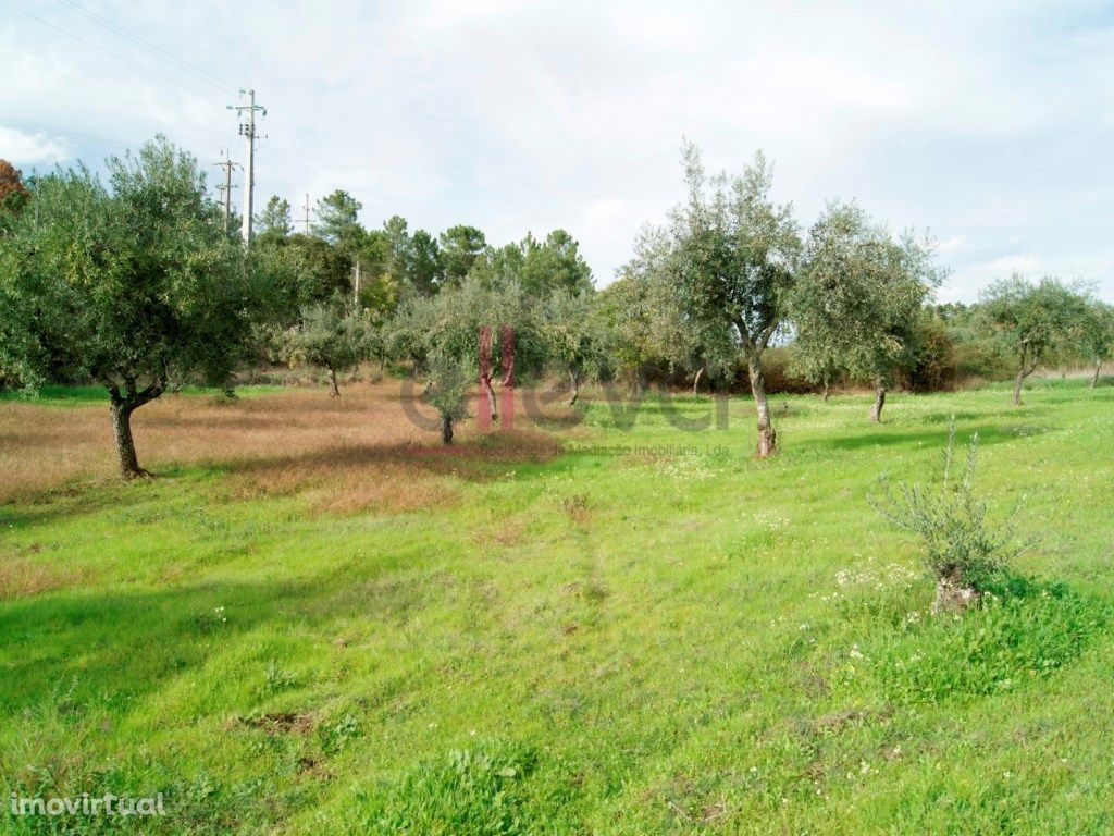 Terreno em Almaceda