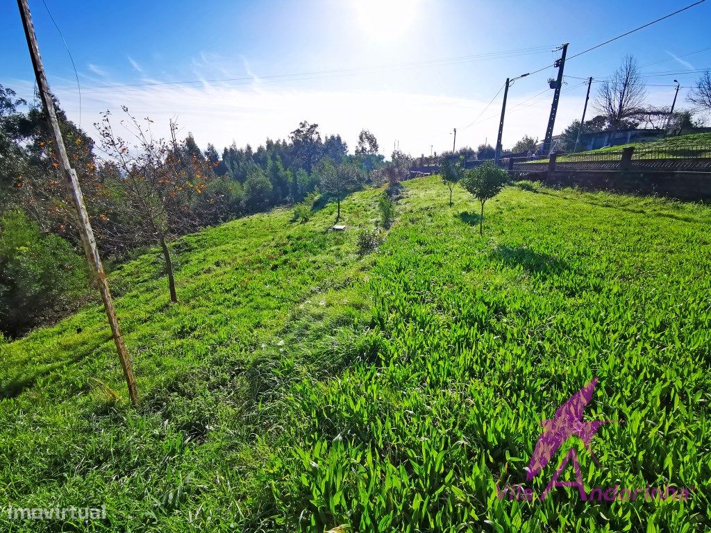 Terreno em Nogueira com 3 000m2 para ...