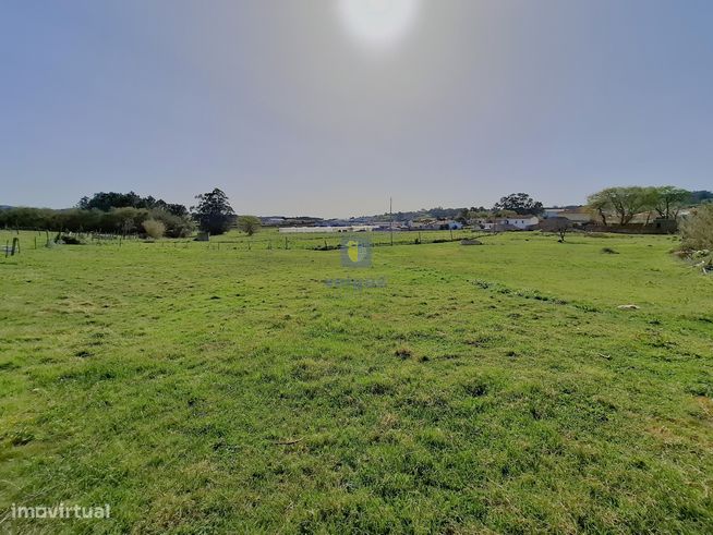 Terreno urbano com 15.867 m2 em Cela, Alcobaça,  e ruína de 336,30 m2-7
