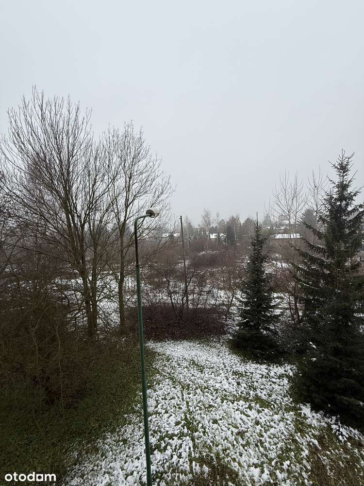 Przestronne 3-pokojowe mieszkanie z BALKONEM I GARAŻEM - Pełny obrazek: 5/7