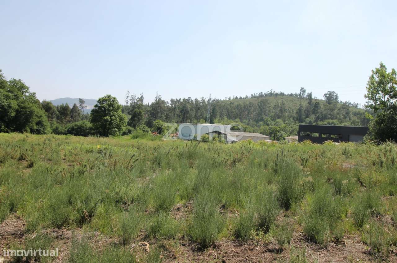 Terreno para construção Pavilhões Industriais, Povoa Lanhoso - Grande imagem: 4/16
