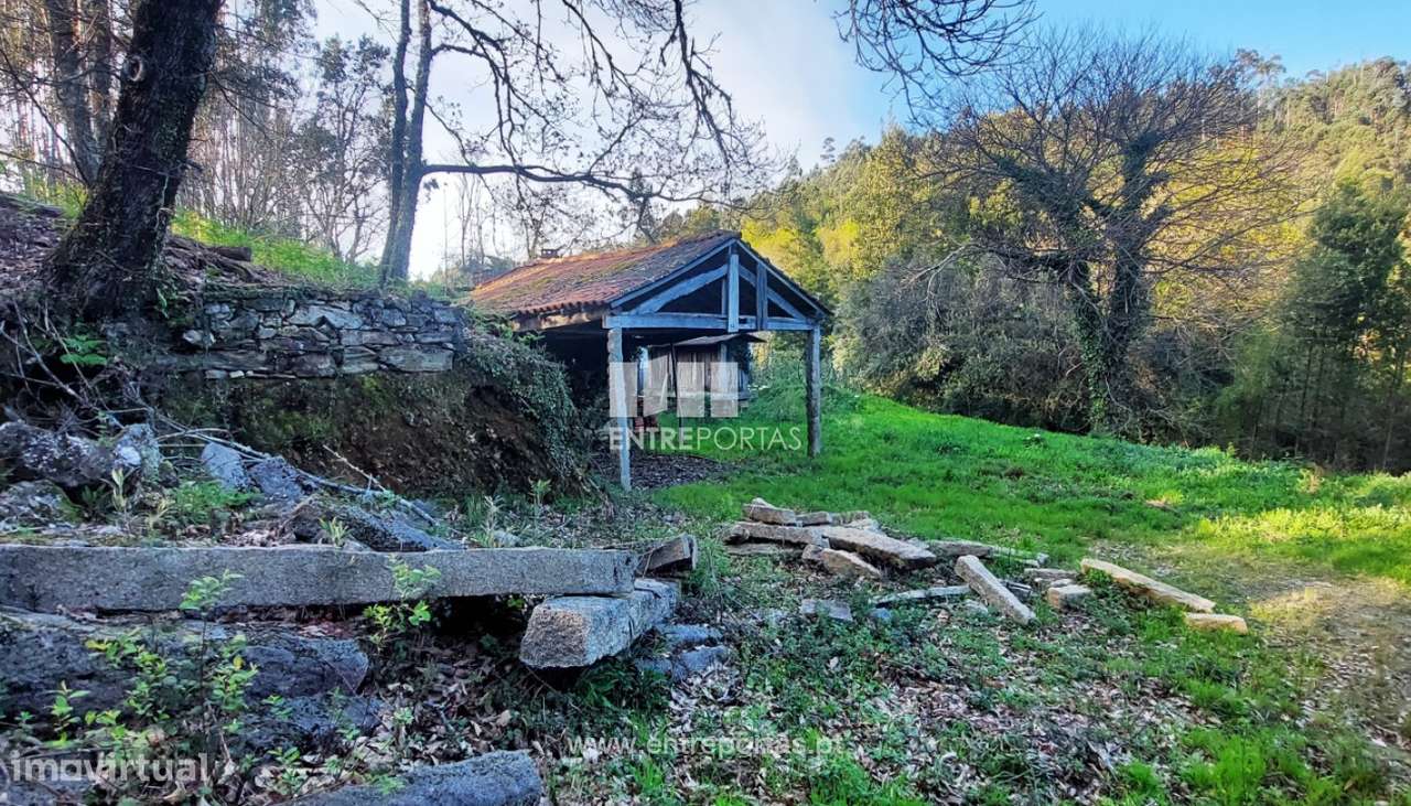 Venda de Quinta, Meixedo, Viana do Castelo - Grande imagem: 4/30