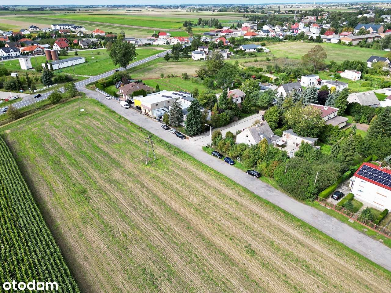 Działki z potencjałem budowlanym Złotniki Kuj. - Pełny obrazek: 5/13
