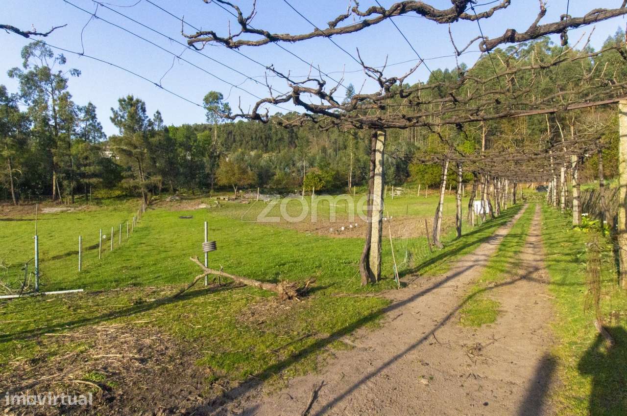 Terreno com 11554 m2 para venda em Portela/V.N. Famalicão - Grande imagem: 3/12