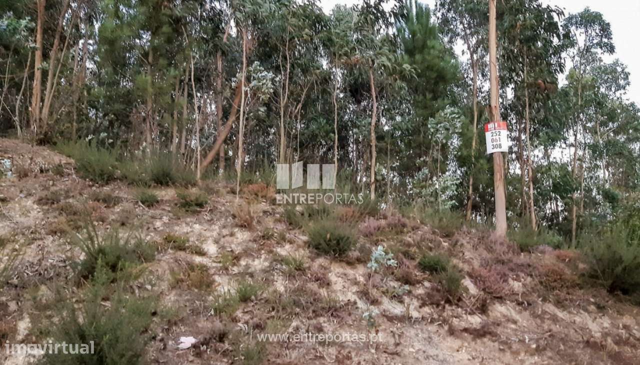 Venda de Terreno com 10808 m2, Touguinhó, Vila do Conde - Grande imagem: 5/12