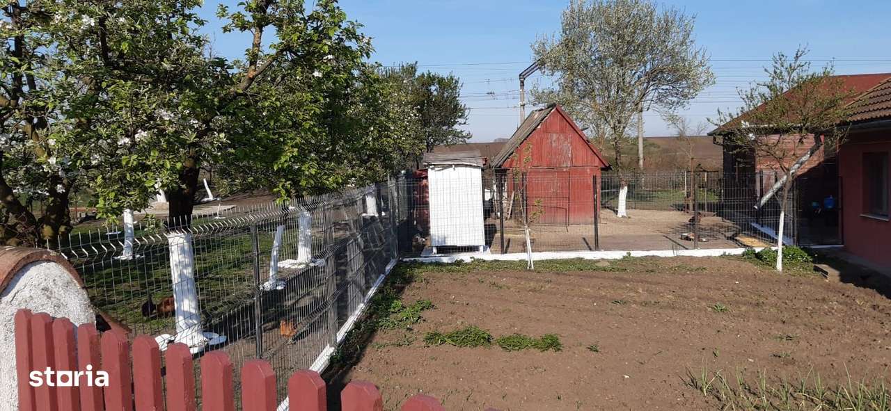 OFERTĂ in Băcia, Hunedoara ! Proprietate 2 case + Cabană + Livadă-13