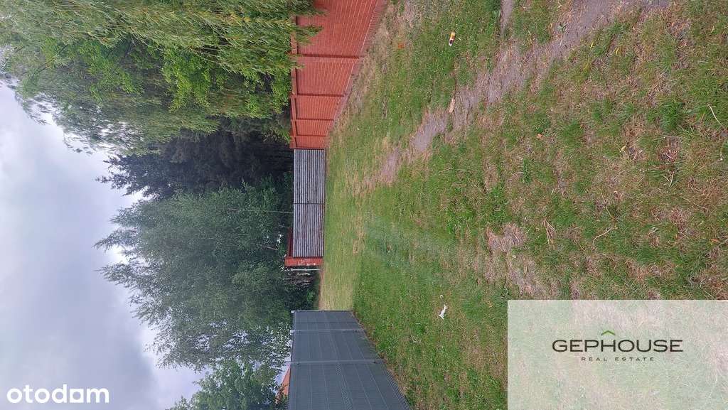 Ciekawe miejsce do zamieszkania - Pełny obrazek: 5/7